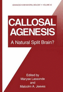 Callosal Agenesis: A Natural Split Brain