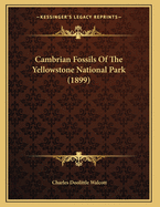 Cambrian Fossils of the Yellowstone National Park (1899)