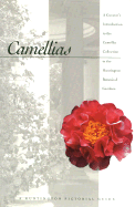 Camellias: A Curator's Introduction to the Camellia Collection in the Huntington Botanical Gardens