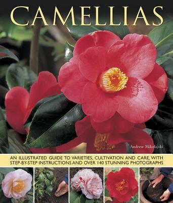 Camellias - Mikolajskj Andrew