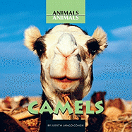 Camels