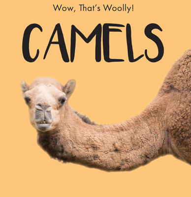 Camels - Gottlieb, Beth