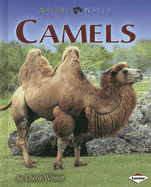 Camels - Winner, Cherie, Dr.