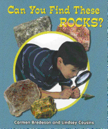 Can You Find These Rocks?