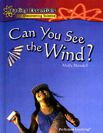 Can You See the Wind?