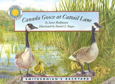 Canada Goose at Cattail Lane - Halfmann, Janet