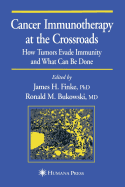 Cancer Immunotherapy at the Crossroads: How Tumors Evade Immunity and What Can Be Done