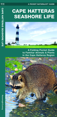 Cape Hatteras Seashore Life: A Folding Pocket Guide to Familiar Plants & Animals in the Cape Hatteras Region - Kavanagh, James, and Waterford Press (Creator)