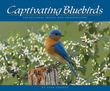 Captivating Bluebirds: Exceptional Images and Observations