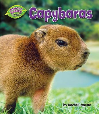 Capybaras - Lynette, Rachel, and Andersen, Mark C (Consultant editor)