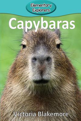 Capybaras - Blakemore, Victoria