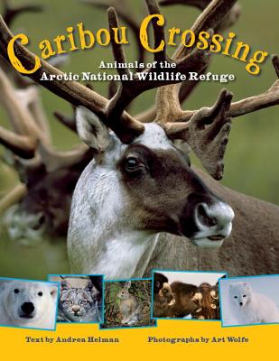 Caribou Crossing: Animals of the Arctic National Wildlife Refuge - Helman, Andrea, and Wolfe, Art (Photographer)