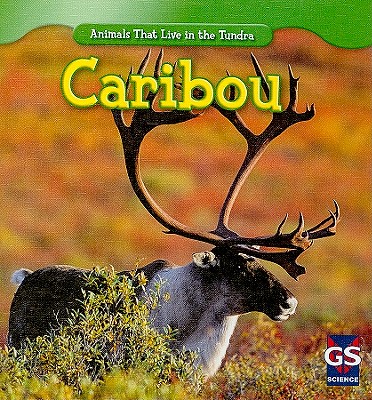 Caribou - Patrick, Roman