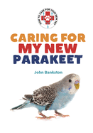 Caring for My New Parakeet