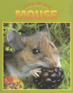 Caring for Your Mouse