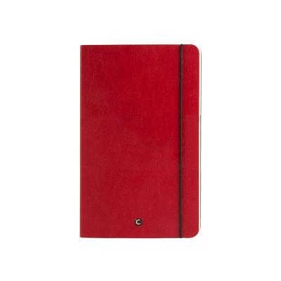 Cartesio Lined Notebook: Red - Discovery Books LLC (Editor)