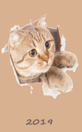 Cat Daily Planner 2019: Small Calendar Journal & Notebook