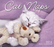 Cat Naps 2014 Boxed/Daily (Calendar)
