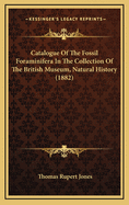 Catalogue of the Fossil Foraminifera in the Collection of the British Museum, Natural History (1882)