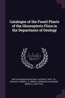 Catalogue of the Fossil Plants of the Glossopteris Flora in the Department of Geology - British Museum (Natural History) Dept (Creator), and Arber, E a Newell 1870-1918