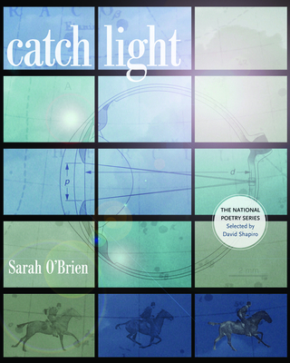 Catch Light - O'Brien, Sarah