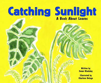 Catching Sunlight: A Book about Leaves - Blackaby, Susan