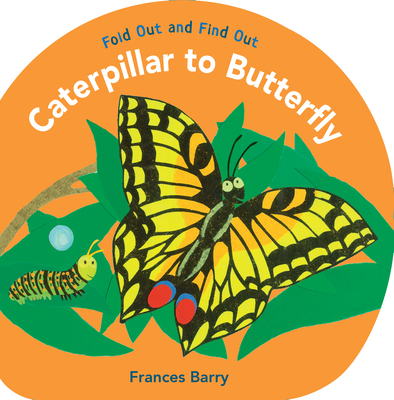 Caterpillar to Butterfly: Fold Out and Find Out - 