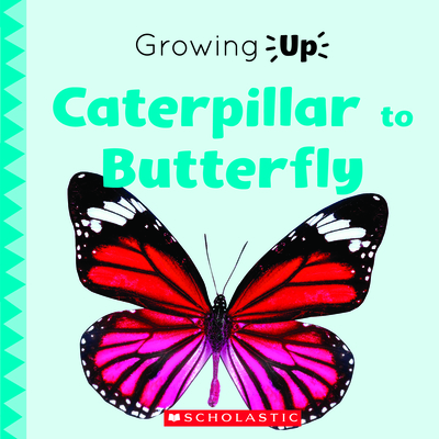 Caterpillar to Butterfly (Growing Up) (Paperback) - Fitzgerald, Stephanie