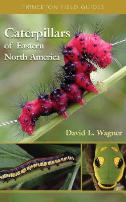 Caterpillars of Eastern North America: A Guide to Identification and Natural History - Wagner, David