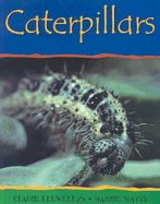 Caterpillars-PB - Llewellyn, Claire, and Watts, Barrie