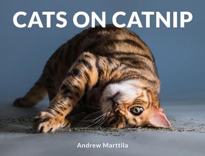 Cats on Catnip - Marttila, Andrew