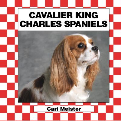 Cavalier King Charles Spaniels - Meister, Cari