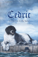 Cedric: Footprints in the Sand