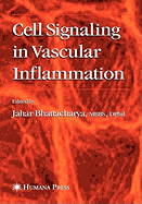 Cell Signaling in Vascular Inflammation