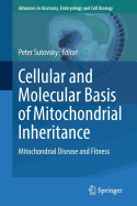 Cellular and Molecular Basis of Mitochondrial Inheritance: Mitochondrial Disease and Fitness