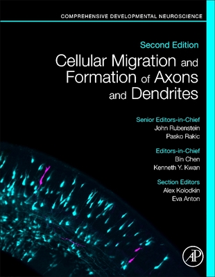 Cellular Migration and Formation of Axons and Dendrites: Comprehensive Developmental Neuroscience - Rubenstein, John (Editor-in-chief), and Rakic, Pasko (Editor-in-chief), and Chen, Bin (Editor)