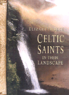 Celtic Saints in Their Landscape - Rees, Elizabeth