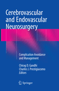 Cerebrovascular and Endovascular Neurosurgery: Complication Avoidance and Management