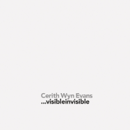Cerith Wyn Evans: Visibleinvisible