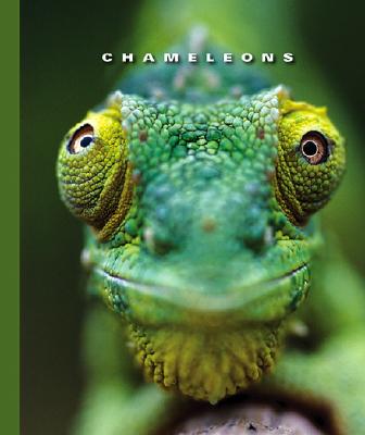 Chameleons - Lockwood, Sophie