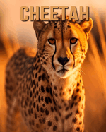 Cheetah: Learn About Cheetah and Enjoy Amazing Facts & Pictures