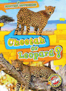Cheetah or Leopard?