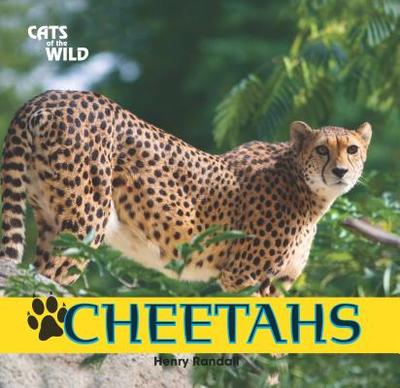 Cheetahs - Randall, Henry