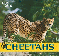 Cheetahs