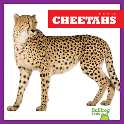 Cheetahs - Brandle, Marie