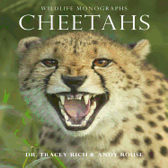 Cheetahs