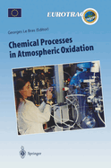 Chemical Processes in Atmospheric Oxidation: Laboratory Studies of Chemistry Related to Tropospheric Ozone