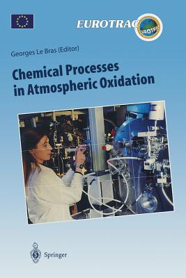 Chemical Processes in Atmospheric Oxidation: Laboratory Studies of Chemistry Related to Tropospheric Ozone - Le Bras, Georges (Editor)