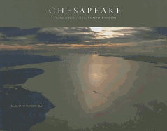 Chesapeake: The Aerial Photography of Cameron Davidson