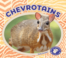 Chevrotains